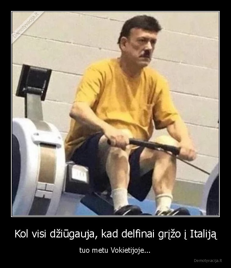 grizo,delfinai,karantinas