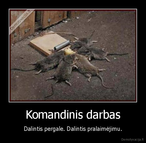 Komandinis darbas
