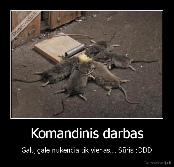 peles,suris,komandinis, darbas