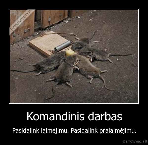 Komandinis darbas