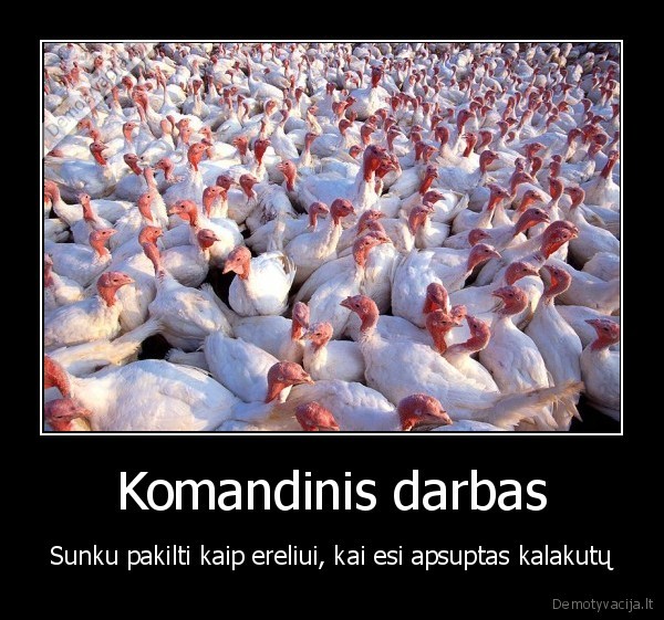 Komandinis darbas
