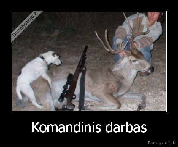 komandinis, darbas, suo