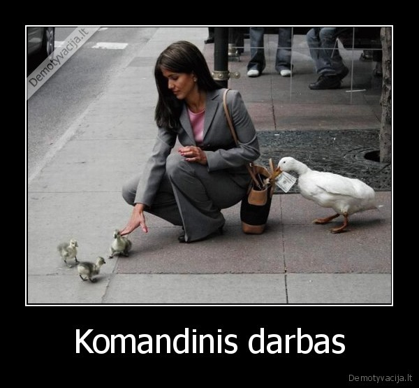 Komandinis darbas