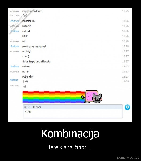 katinelis,skype,nyan