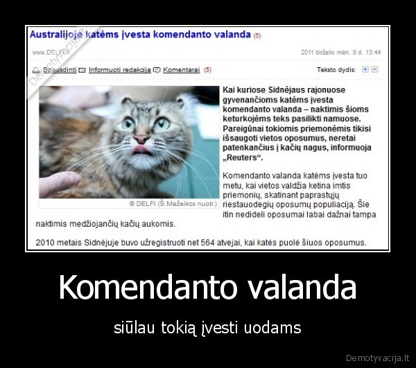 Komendanto valanda