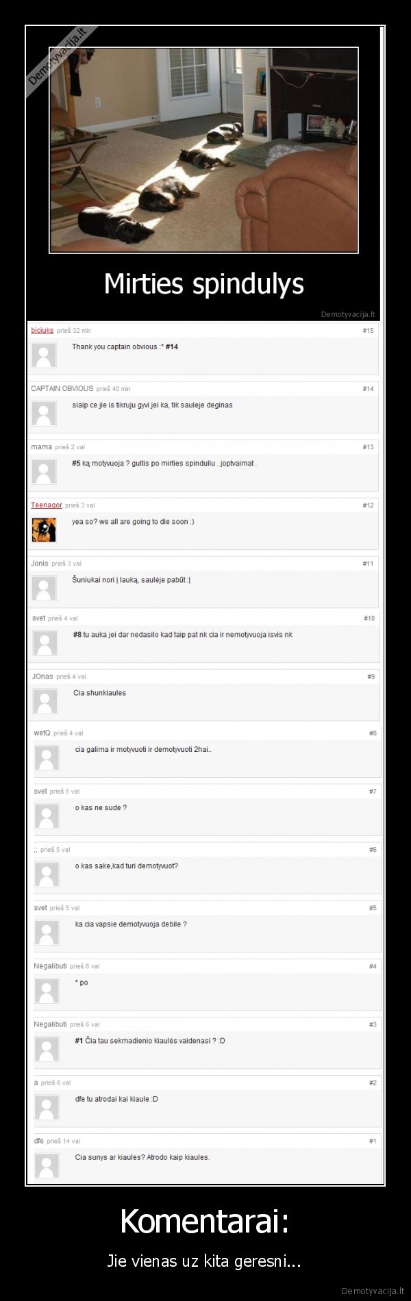 vaikai,seima,darba,debesys, dulkes, moterys, vyrai, bocius, katinas, sunkiaule, suo