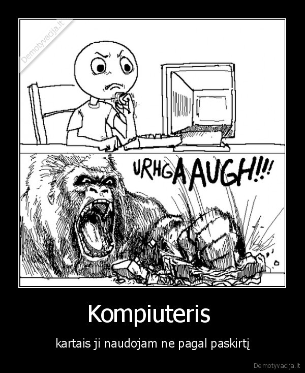 zymes, kompiuters, gyvenimas, studentai, gyvunai, pramogos, extreme, sportas