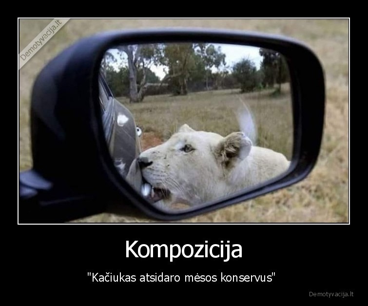 katinas,liutas,kompozicija