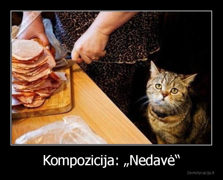 nedave,desra,katinas