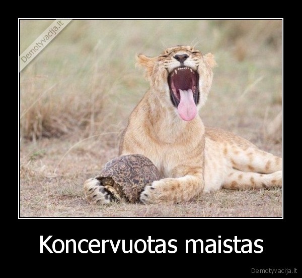 Koncervuotas maistas