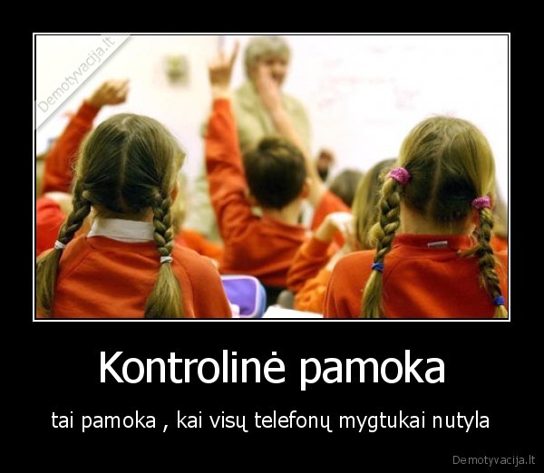 Kontrolinė pamoka