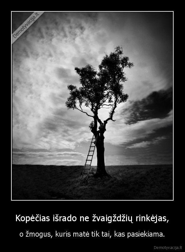 Kopėčias išrado ne žvaigždžių rinkėjas,