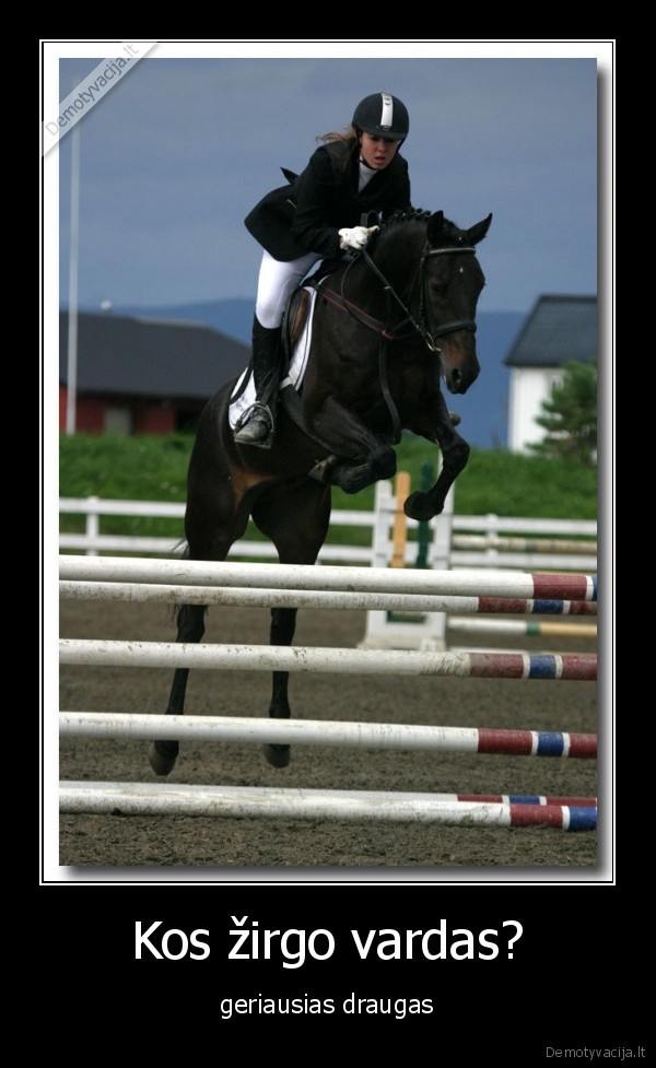 zirgas, draugas