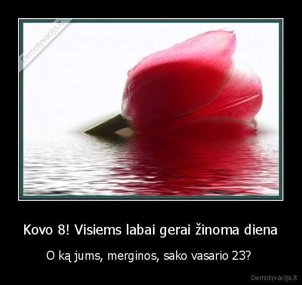 merginos, apie, tai, net, nepagalvoja, ir, dar, mus, kiaulemis, vadina, d