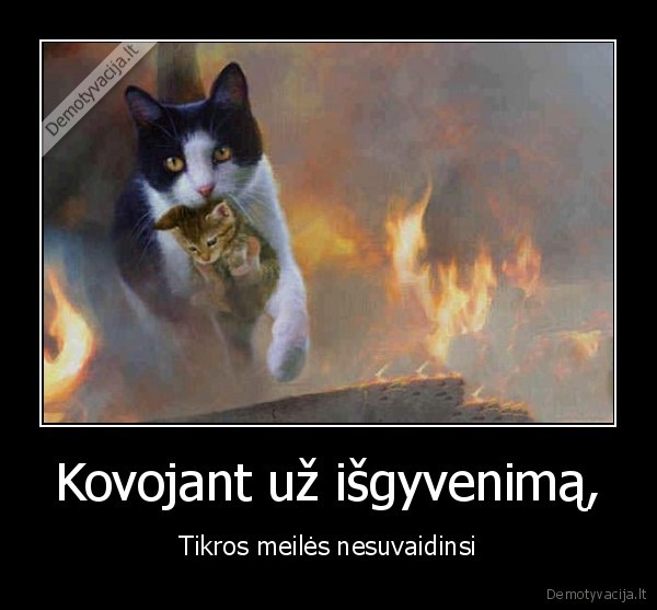 Kovojant už išgyvenimą,