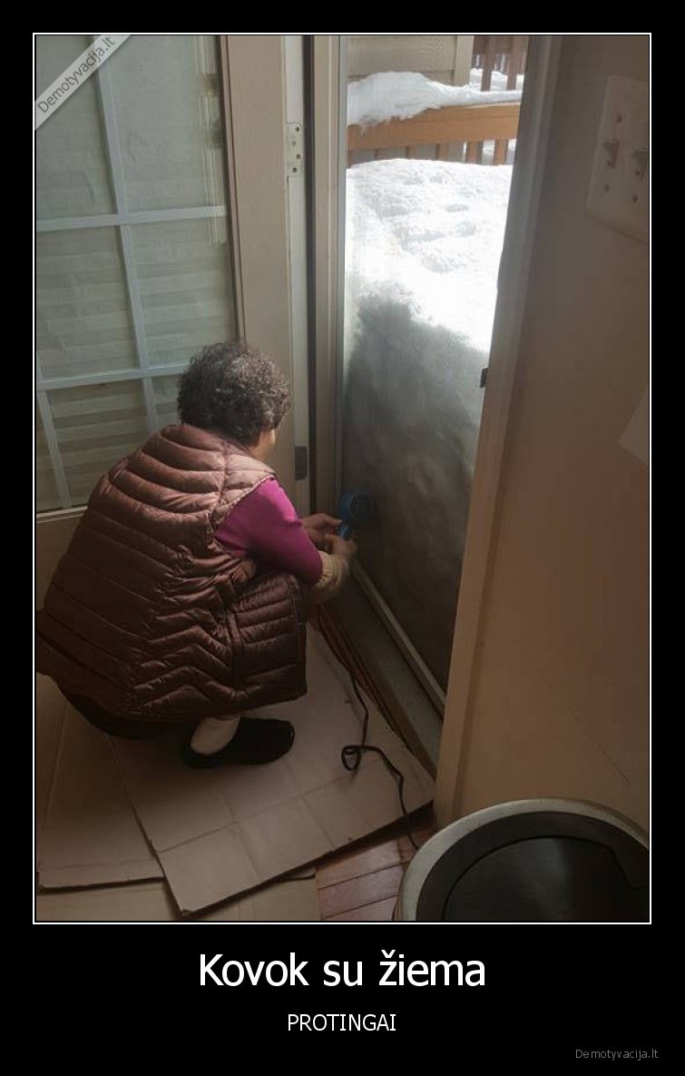 ziema,kova,protingai,sniegas