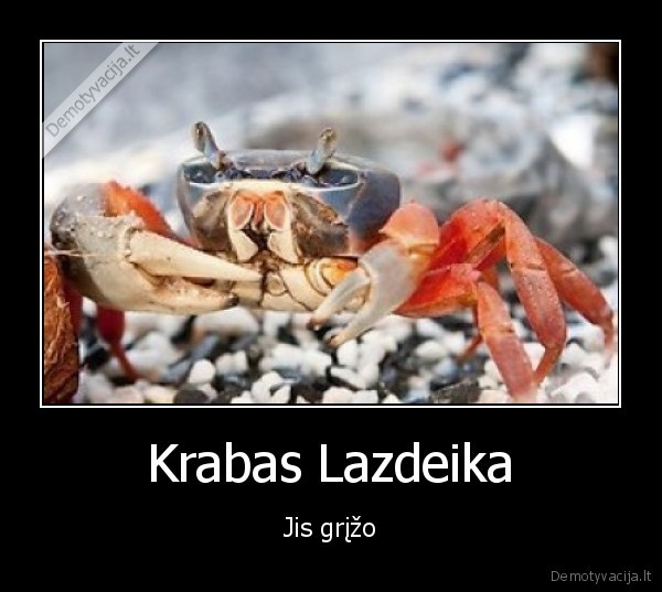 krabas, lazdeika, lietuvos, rinktines, orakulas, krepsinis