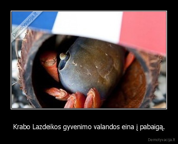 krabas, lazdeika,lietuva, prancuzija