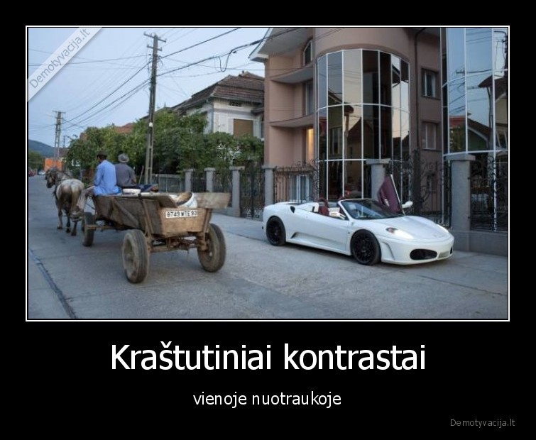 palyginimas,kontrastas,auto,arkliai