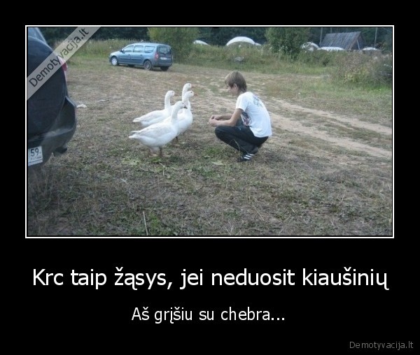 zasys,pacan,kiausiniai