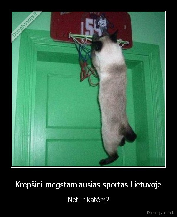 Krepšini megstamiausias sportas Lietuvoje