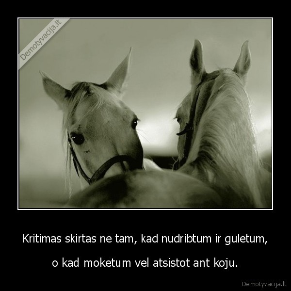 gyvenk,sypsokis,dziaulis