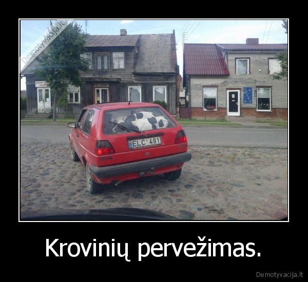 Krovinių pervežimas.