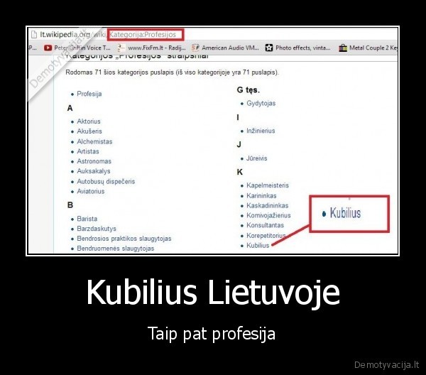kubilius,profesija,profesijos