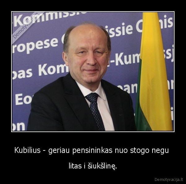 Kubilius - geriau pensininkas nuo stogo negu 