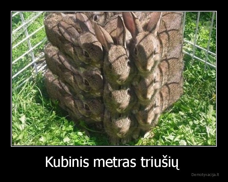 kubinis,metras,triusiai