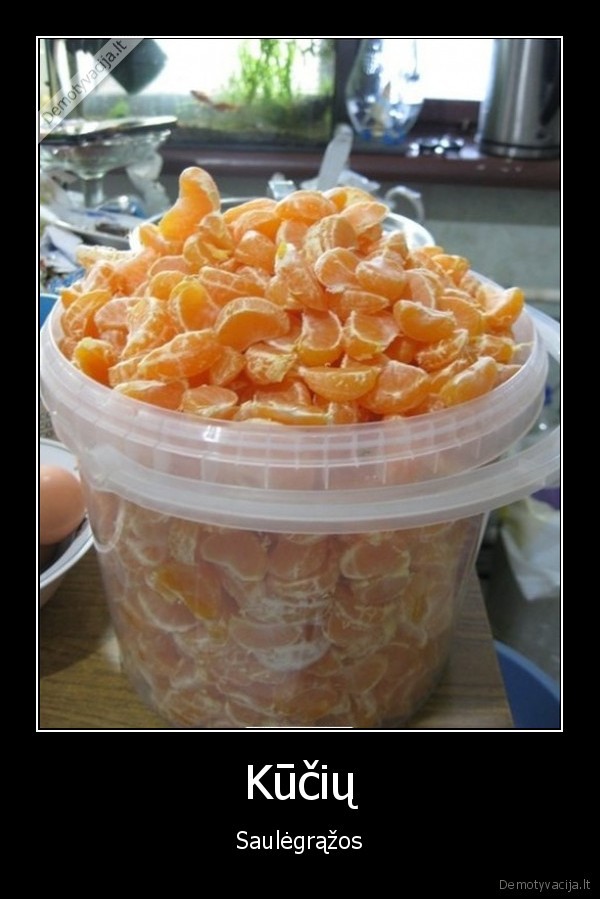 mandarinai,iprotis,priklausomybe