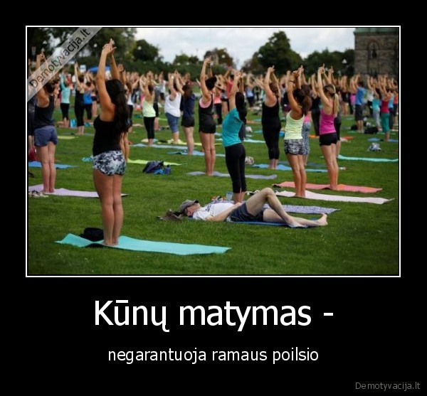 poilsis,kunai,matymas