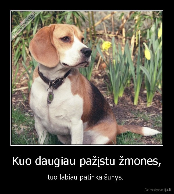 Kuo daugiau pažįstu žmones,