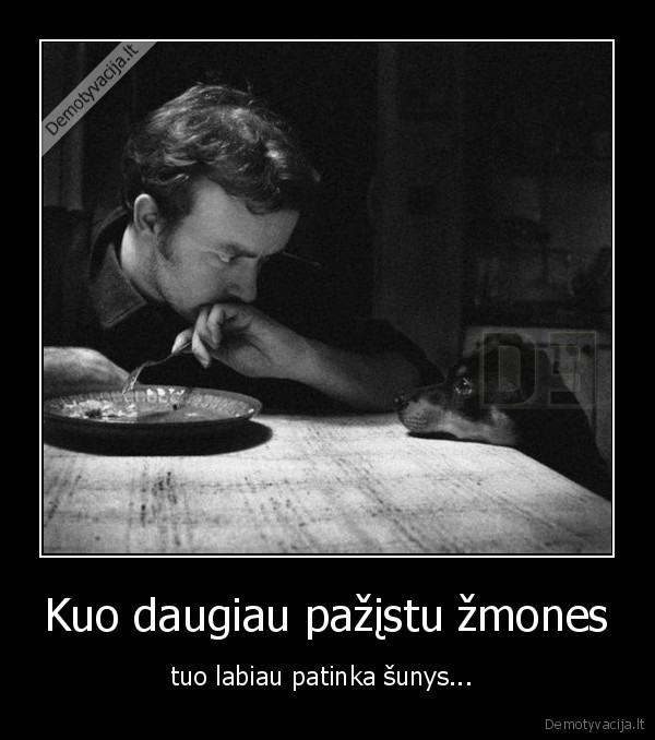 suo, geriausias, zmogaus, draugas