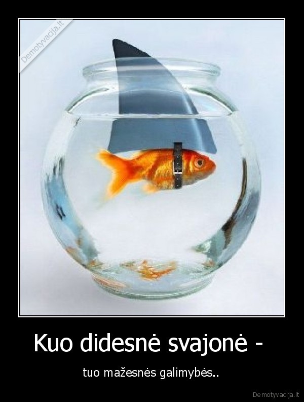 Kuo didesnė svajonė - 