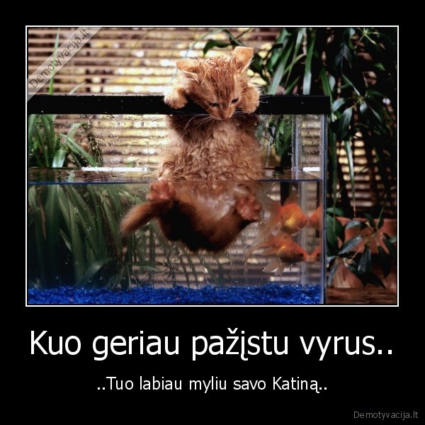 Kuo geriau pažįstu vyrus..