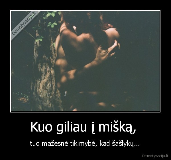 Kuo giliau į mišką, 