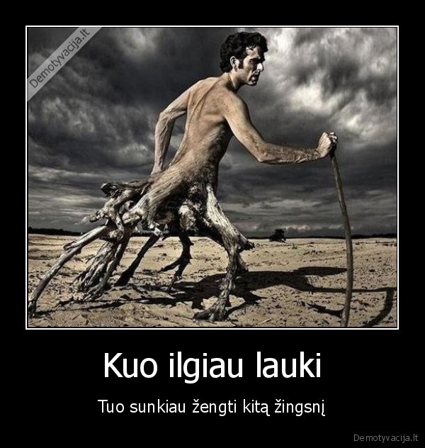 laukimas,ileido, saknis