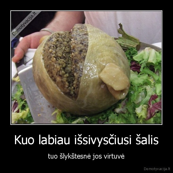 Kuo labiau išsivysčiusi šalis