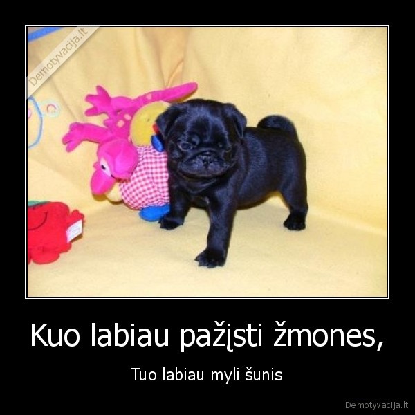 Kuo labiau pažįsti žmones,