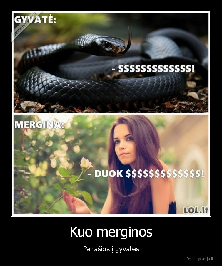 merginos, ir, gyvates,praso, pinigu