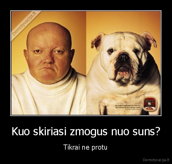 Kuo skiriasi zmogus nuo suns?