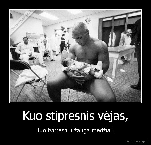 Kuo stipresnis vėjas,