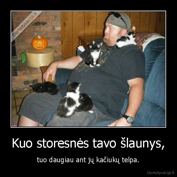 kaciukai,katinai,slaunys,storumas