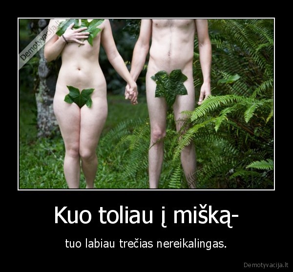 Kuo toliau į mišką-