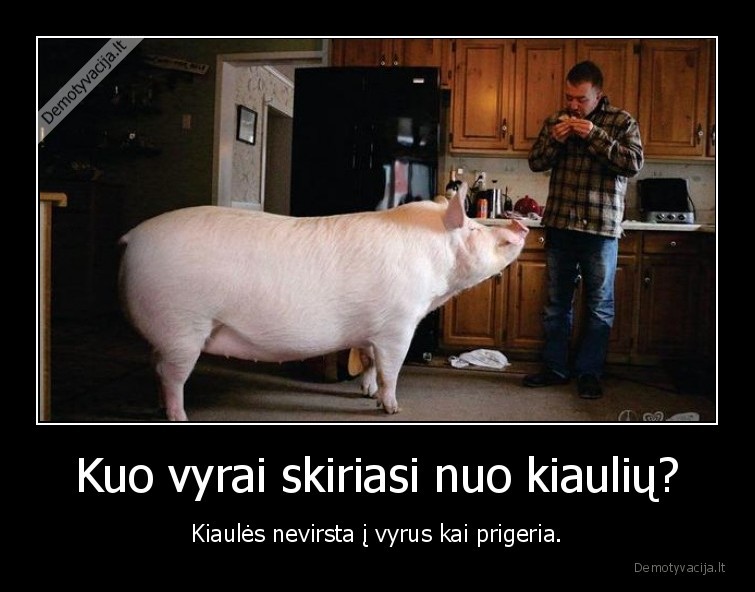 vyrai,kiaules,vyrai,prigeria,alkoholis