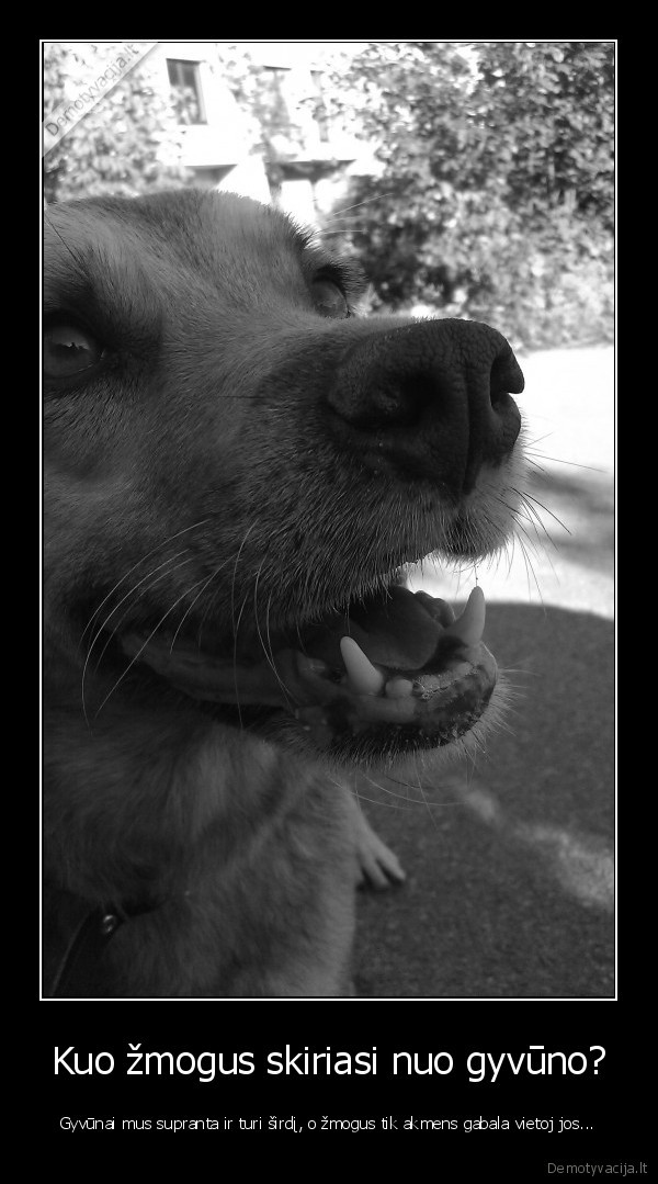 gyvunai, mes, zmones, 