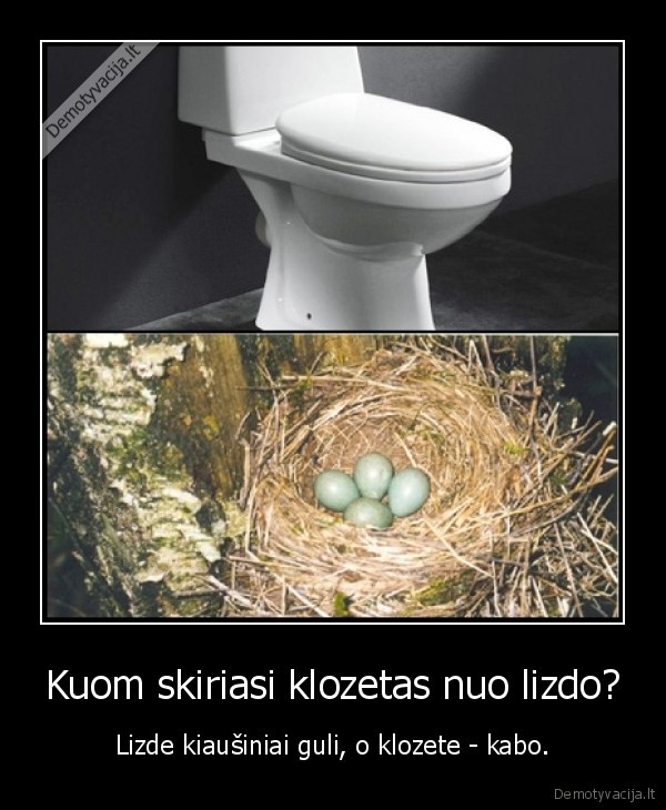 kiausiniai, lizdas, klozetas, tualetas, wc