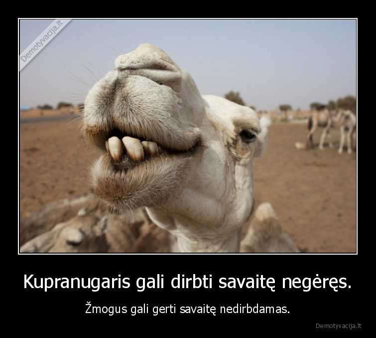 kupranugaris,zmogus,gerimas