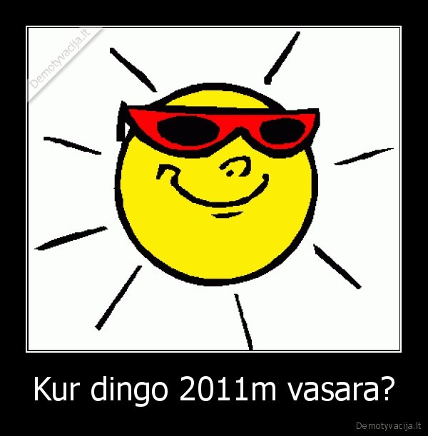 Kur dingo 2011m vasara?